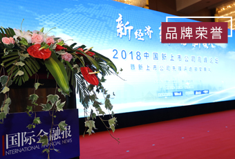 频频获奖，leyu·乐鱼再获2018中国新上市公司商业模式先锋奖