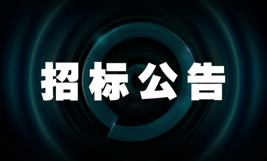 leyu·乐鱼国际中心工程检测和监测服务招标公告